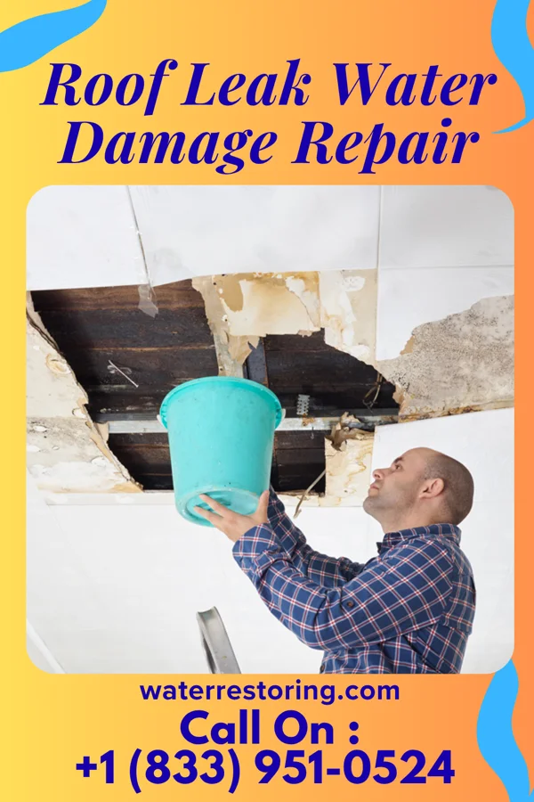 Roof Leak Water Damage Repair in Jackson Lake, CO